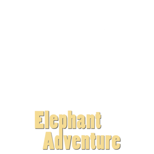 Elephant Adventure